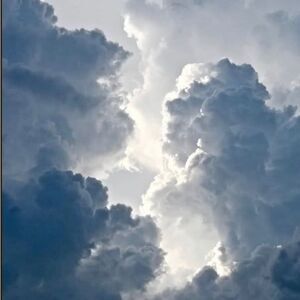 Size XXS & XS Swimsuit-Live Auction Only Listing